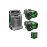 EGO LM2142SP 21″ Poly Deck Dual-port SP Lawn Mower Kit (550W Charger, 2*5.0Ah) - Image 4