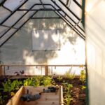 Cedar Complete Raised Garden Bed Kit with Greenhouse Cover 8′ x 12′ - Image 14