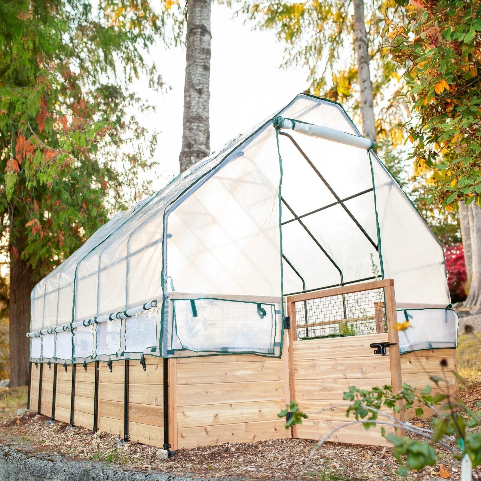 IMG_1318-Edit.jpg Cedar Complete Raised Garden Bed Kit with Greenhouse Cover 8′ x 12′ - Image 1