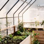 Cedar Complete Raised Garden Bed Kit with Greenhouse Cover 8′ x 12′ - Image 7